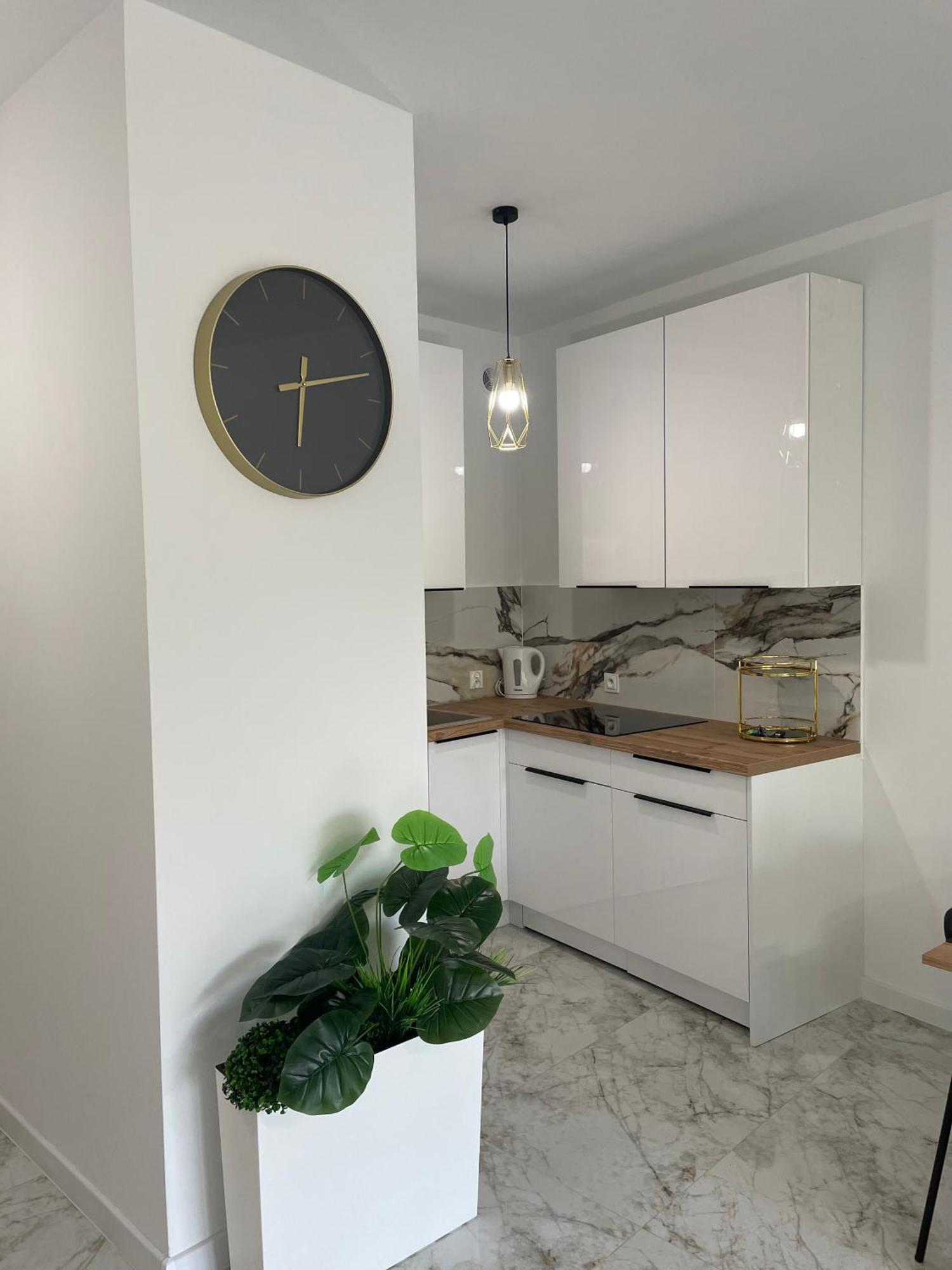 Prestige Slow Centrum Jezioro Magistrackie 100m Internet Apartment